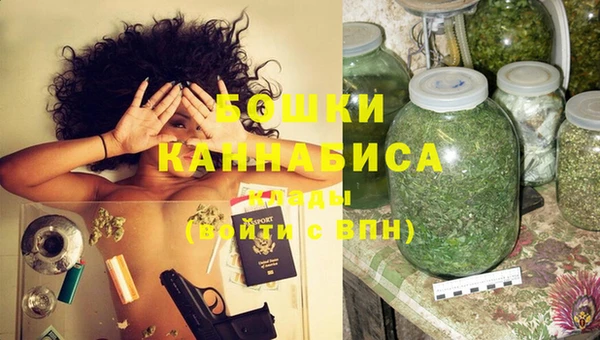 сатива Лабытнанги
