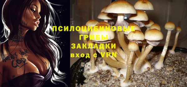 PSILOCYBIN Куйбышев