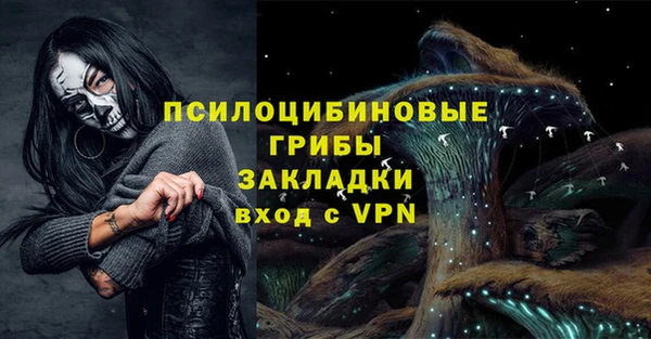 PSILOCYBIN Куйбышев