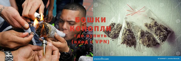 МДПВ Лиски