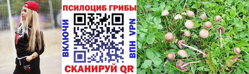 наркошоп  Мелеуз  Галлюциногенные грибы мухоморы 