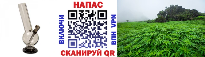 Бошки Шишки семена  Мелеуз 